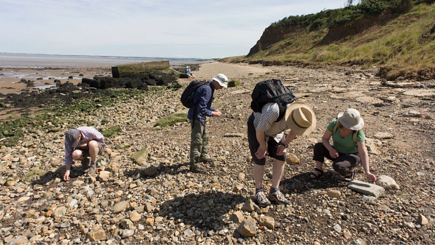 Illustrative photograph of people examining a rocky shoreline.