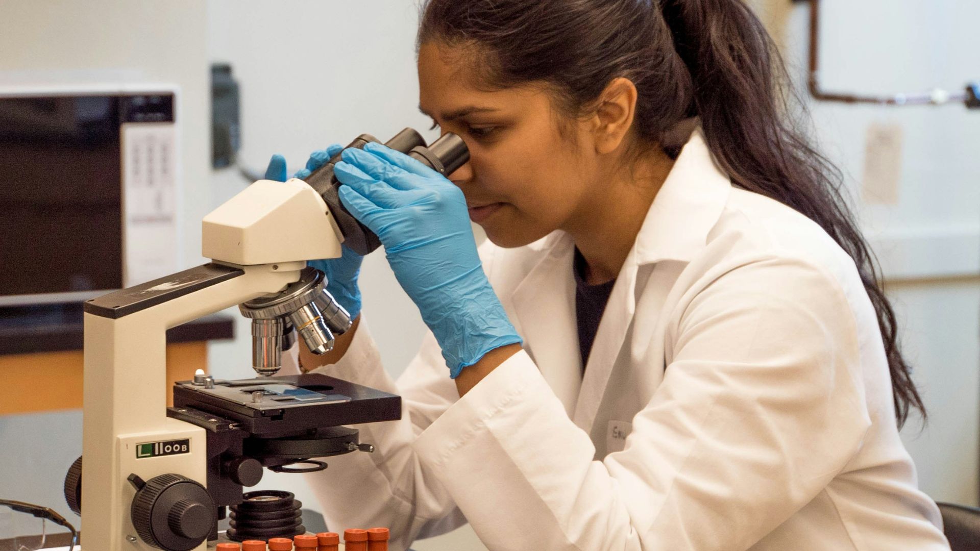 Illustrative photograph of a researcher looking into a microscope.