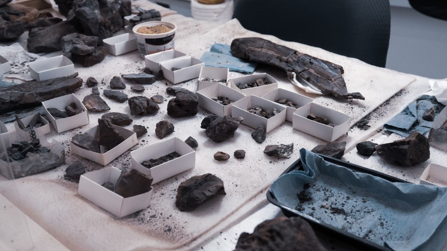Illustrative photograph of tools and fossil fragments on a worktable.