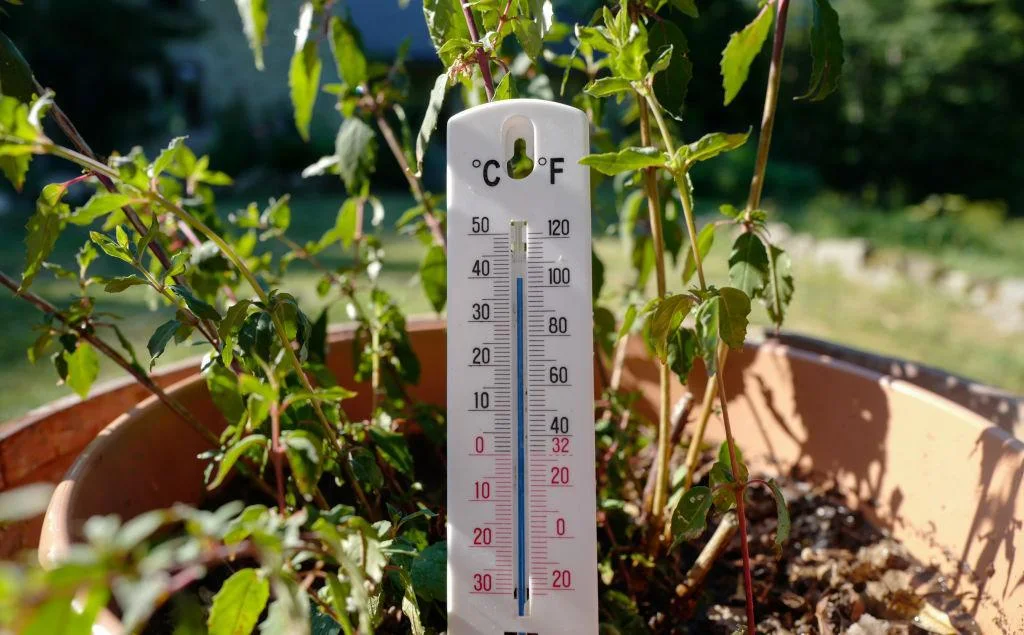 Thermometer reaches 40 degrees Celsius in a garden