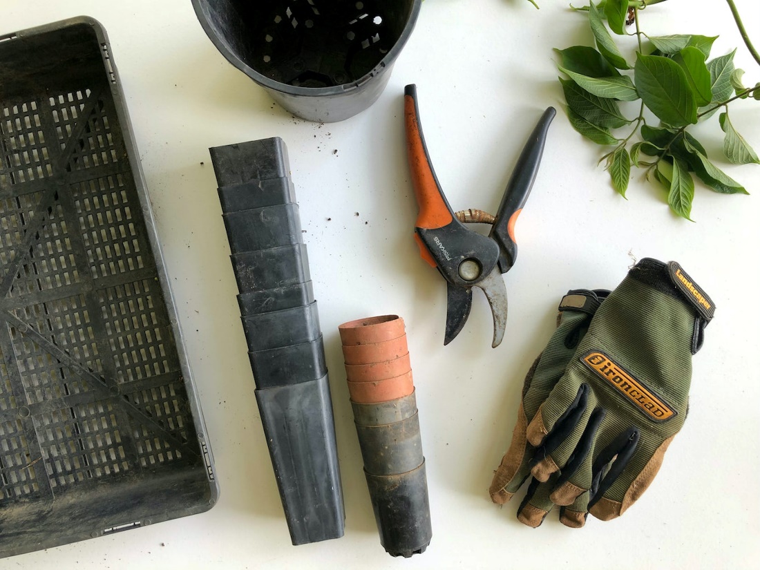 Gloves and hand gardening tools arranged on a wooden surface